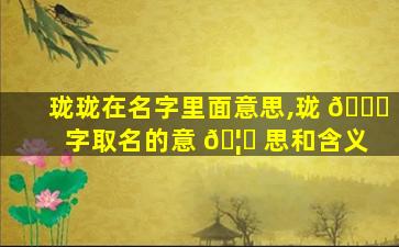 珑珑在名字里面意思,珑 🍀 字取名的意 🦅 思和含义